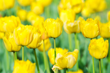 Similar image 1380734