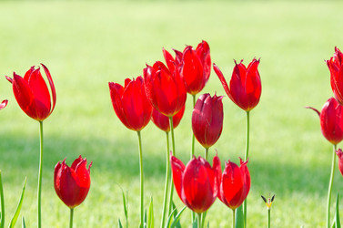 Similar image 1380746