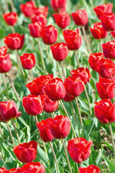 Similar image 1380747