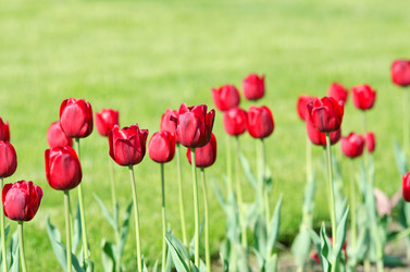 Similar image 1380748