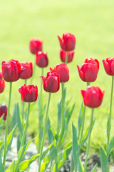 Similar image 1380749