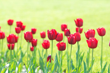 Similar image 1380750