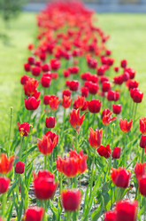 Similar image 1380751