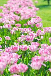 Similar image 1380752