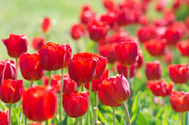 Similar image 1380766