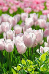 Similar image 1380821