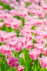 Similar image 1380822