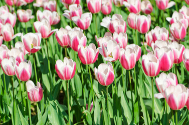 Similar image 1380823