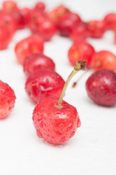 Similar image 1380941