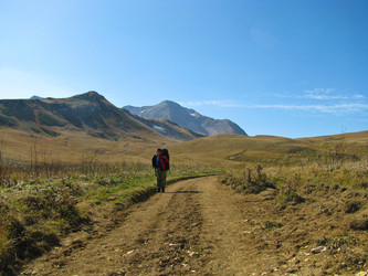 Similar image 1381468