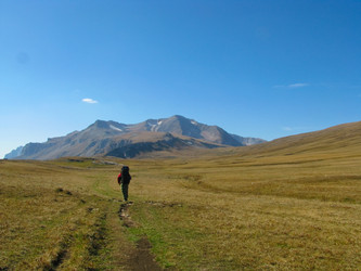 Similar image 1381469