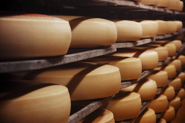 Similar image 1381476