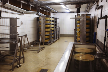 Similar image 1381517