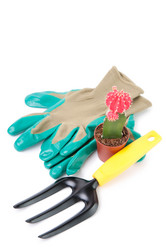 Similar image 1381546