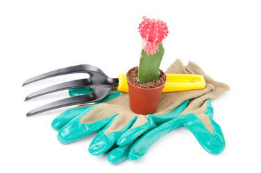 Similar image 1381578