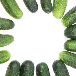 Similar image 1381599