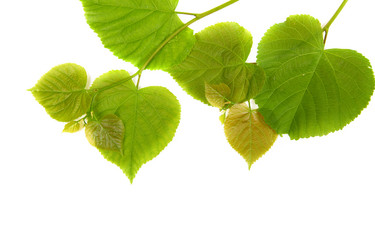 Similar image 1381710