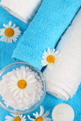 Similar image 1381713