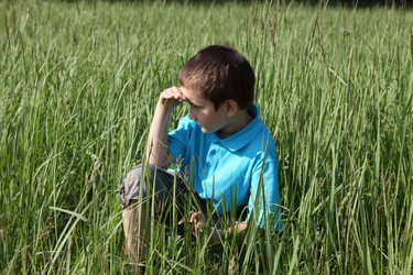 Similar image 1381725