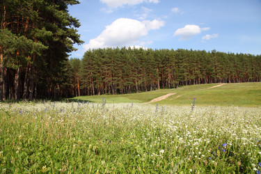 Similar image 1381729