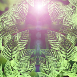 Similar image 1381870