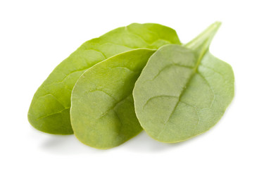 Similar image 1381879