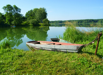 Similar image 1381882