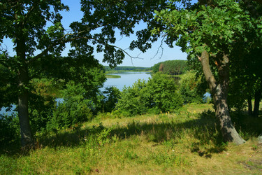 Similar image 1381884