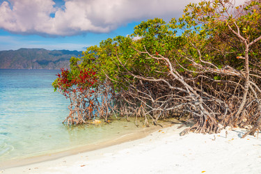 Similar image 1381910