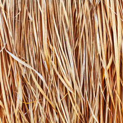 Similar image 1381922