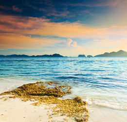 Similar image 1381961