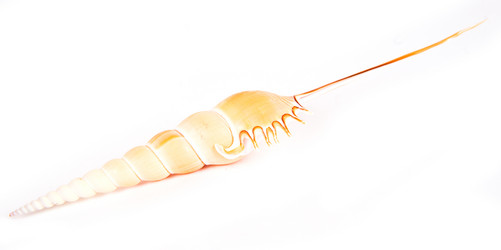 Similar image 1382281