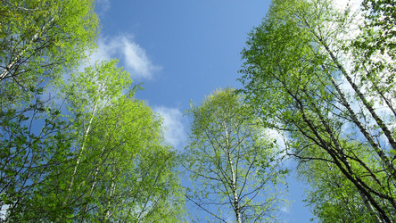 Similar image 1382292