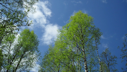 Similar image 1382294