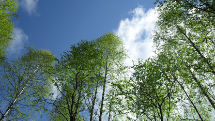 Similar image 1382295