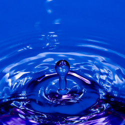 Similar image 1382356