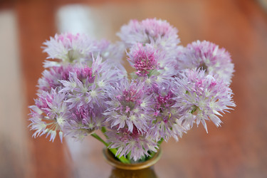 Similar image 1382365