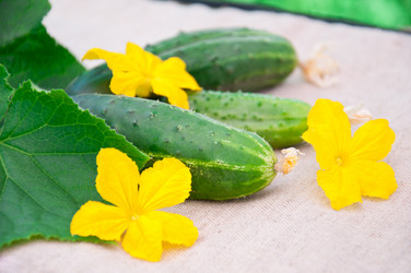 Similar image 1382401