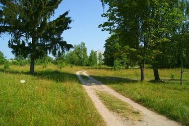 Similar image 1382419