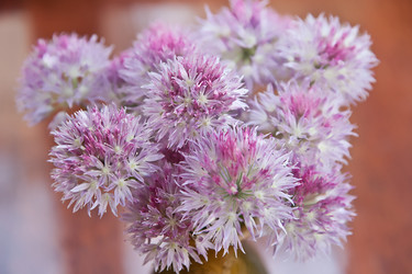 Similar image 1382478