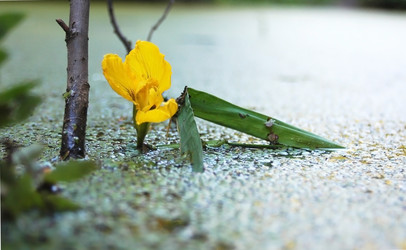 Similar image 1382651