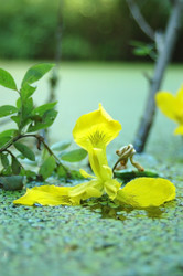 Similar image 1382652