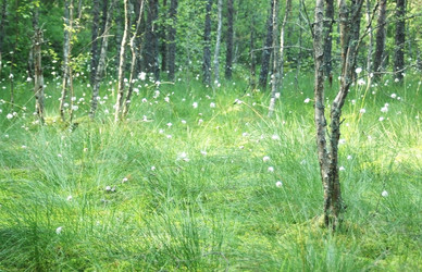 Similar image 1382653