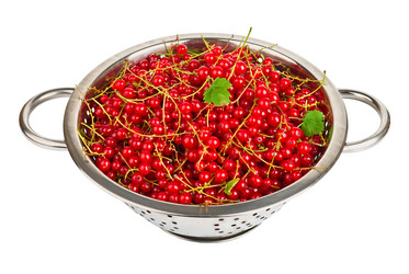 Similar image 1382656