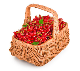 Similar image 1382659