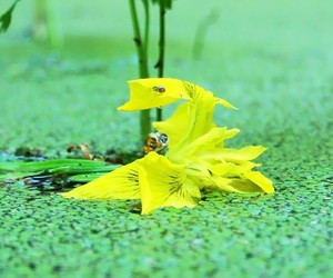 Similar image 1382685