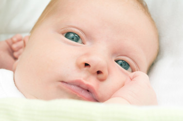 Similar image 1382694