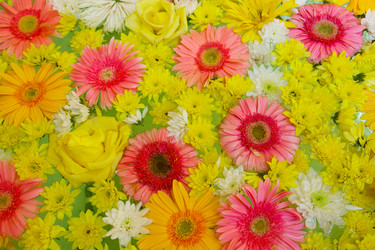 Similar image 1382776