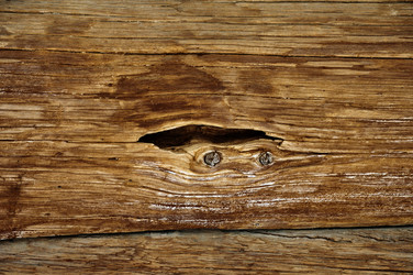 Similar image 1382788