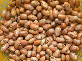 Similar image 1382877